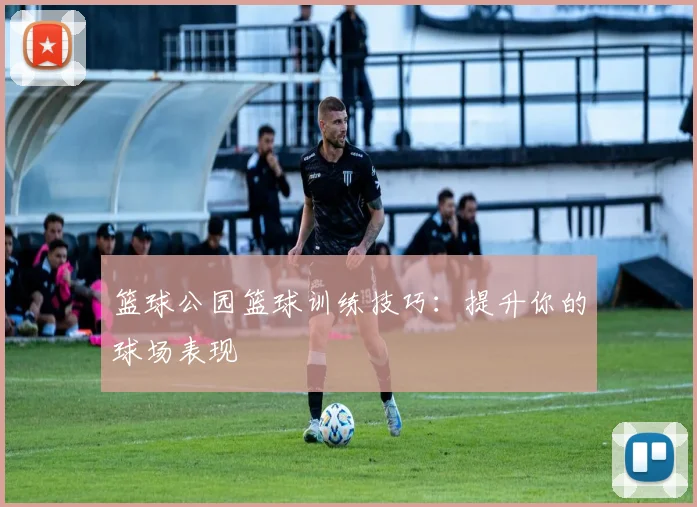 篮球公园篮球训练技巧:提升你的球场表现