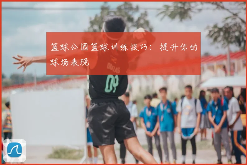 篮球公园篮球训练技巧：提升你的球场表现
