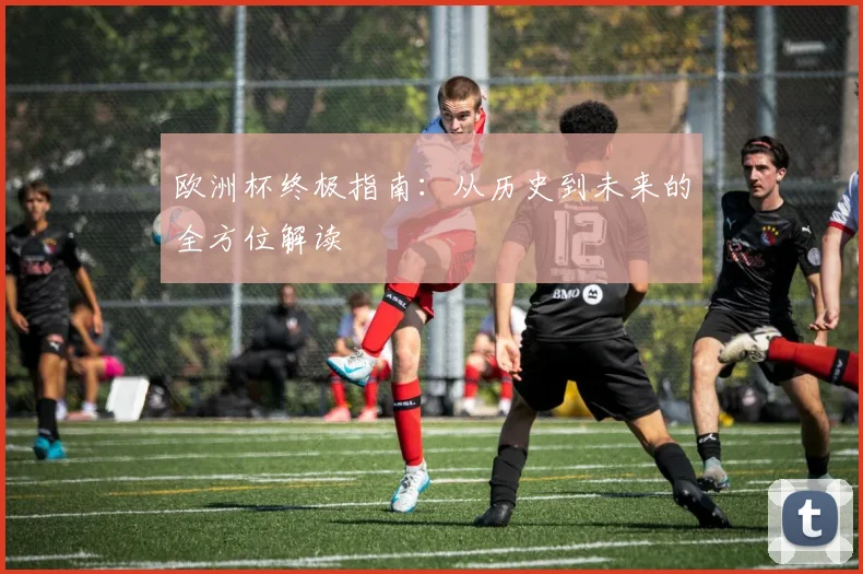 欧洲杯终极指南:从历史到未来的全方位解读